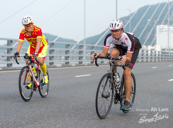 Lam 50 km-206