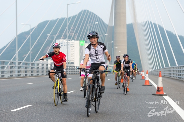 Lam 50 km-217