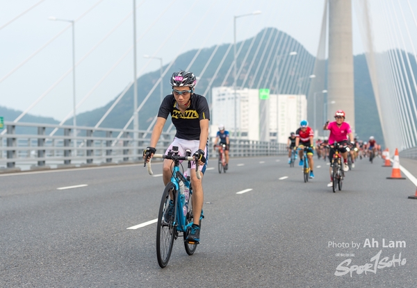 Lam 50 km-233