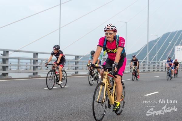 Lam 50 km-251
