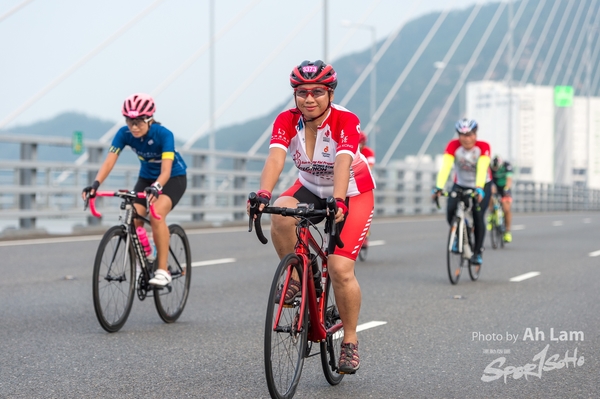 Lam 50 km-253
