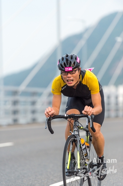 Lam 50 km-31
