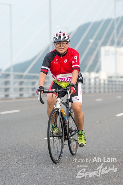 Lam 50 km-355