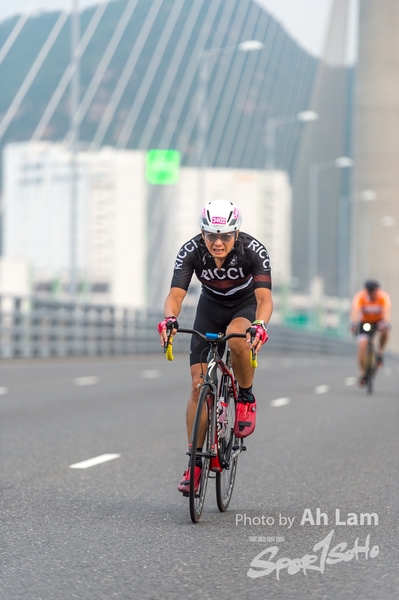 Lam 50 km-39
