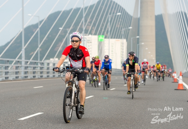 Lam 50 km-399