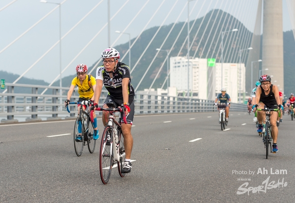 Lam 50 km-413