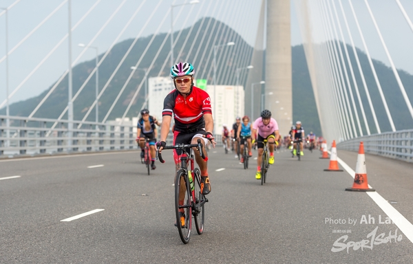 Lam 50 km-431