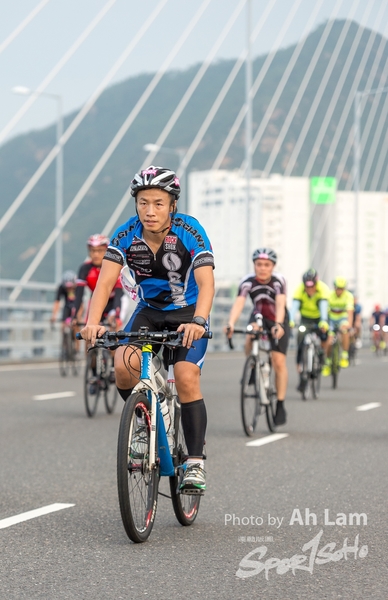 Lam 50 km-443