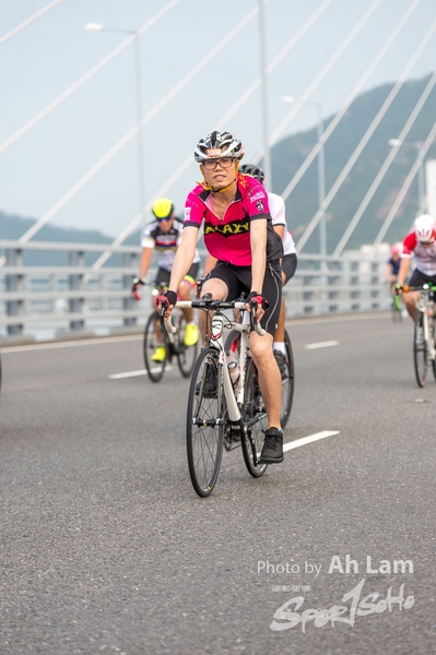 Lam 50 km-446