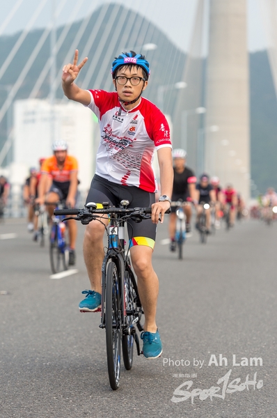 Lam 50 km-474