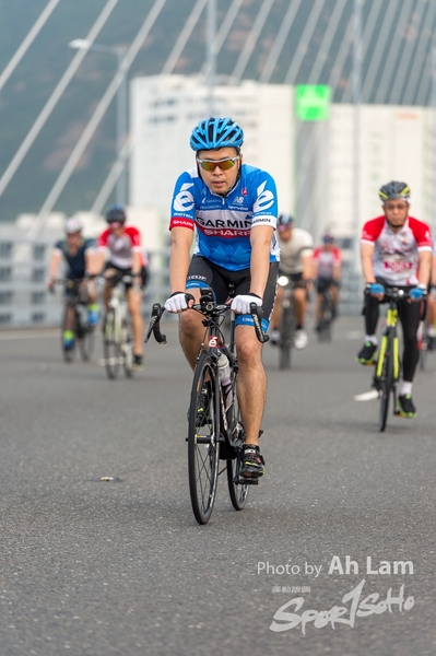 Lam 50 km-489