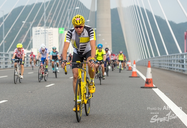 Lam 50 km-521