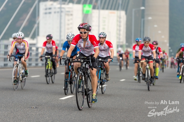 Lam 50 km-529