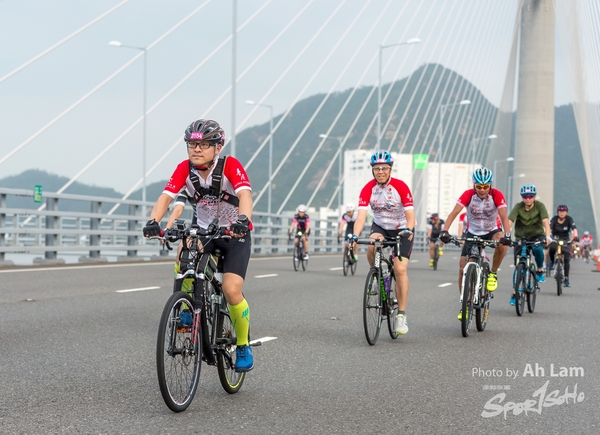 Lam 50 km-531