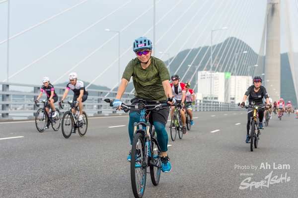 Lam 50 km-533