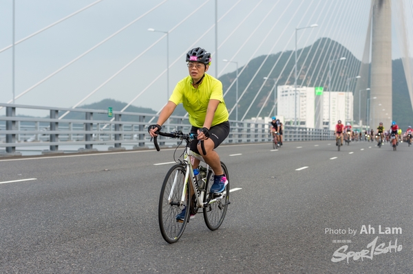 Lam 50 km-553