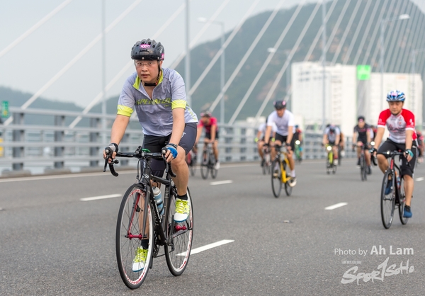 Lam 50 km-558