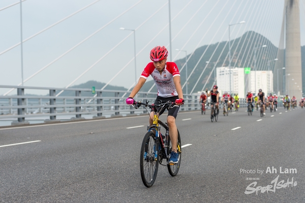 Lam 50 km-569
