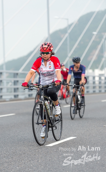 Lam 50 km-611