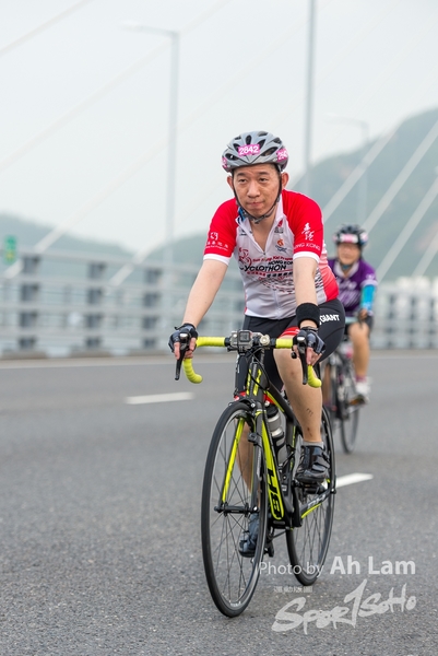 Lam 50 km-637