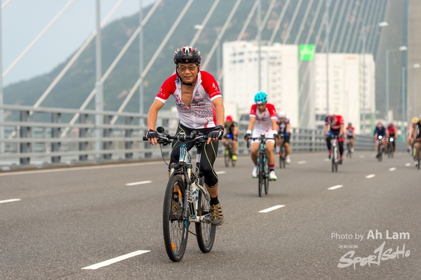 Lam 50 km-733