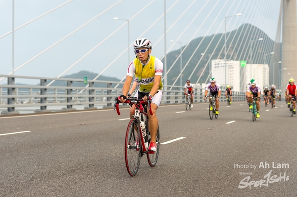 Lam 50 km-781