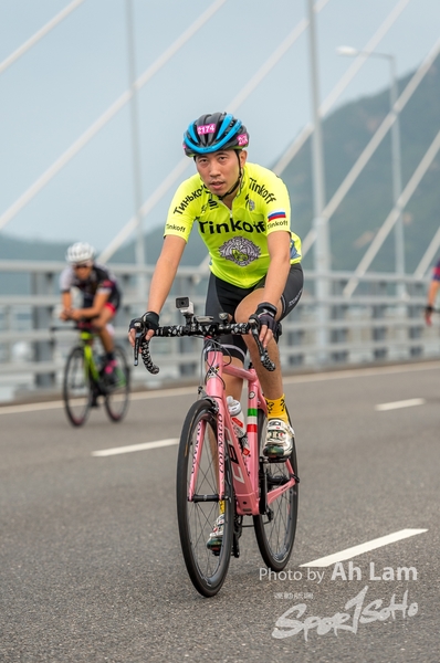 Lam 50 km-803