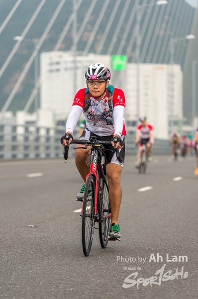 Lam 50 km-804