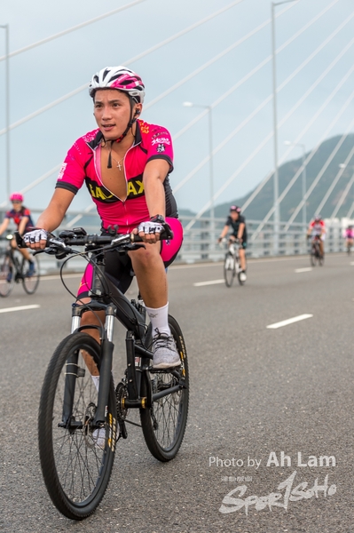Lam 50 km-810