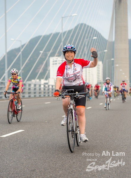 Lam 50 km-822