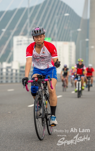 Lam 50 km-825