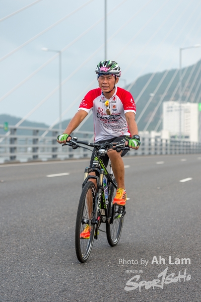 Lam 50 km-871