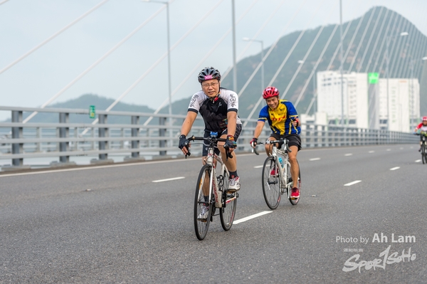 Lam 50 km-885