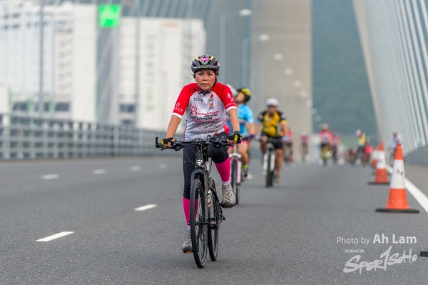Lam 50 km-891