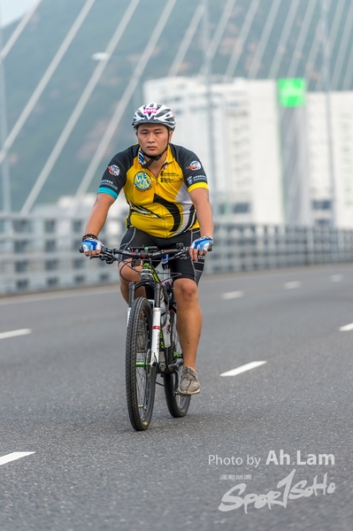 Lam 50 km-893