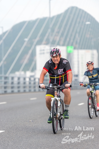 Lam 50 km-937