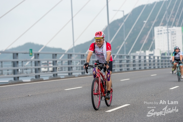 Lam 50 km-955
