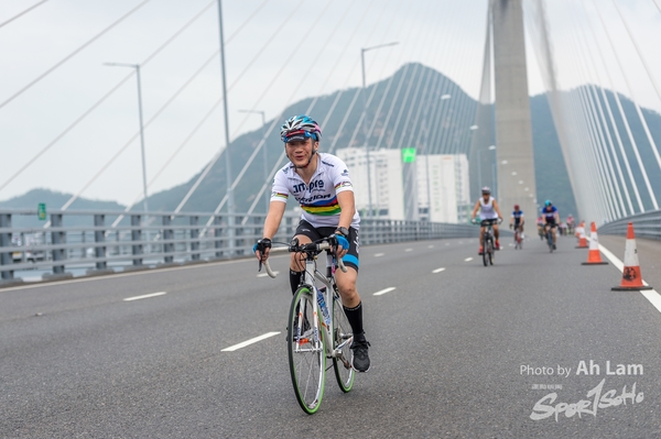 Lam 50 km-959