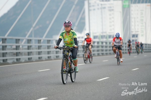 Lam 30 km-206