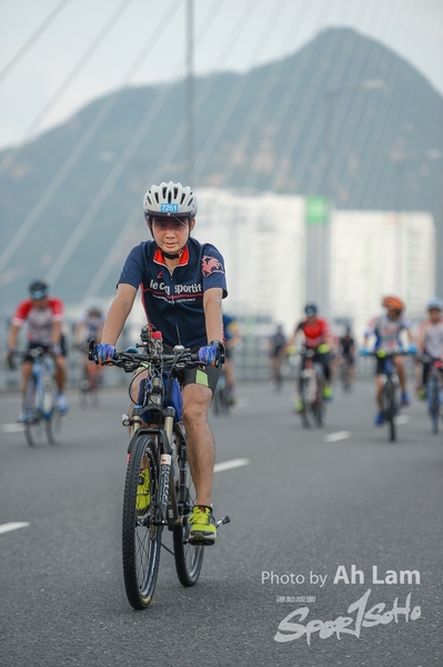 Lam 30 km-275