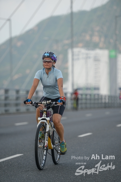 Lam 30 km-355